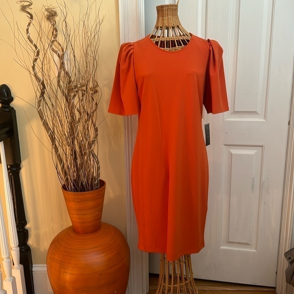 Sharagano NWT burned orange dress